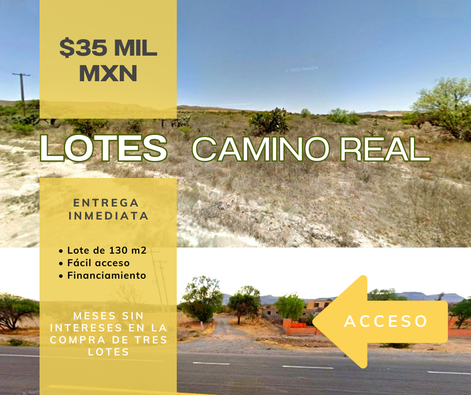 Lotes Camino Real