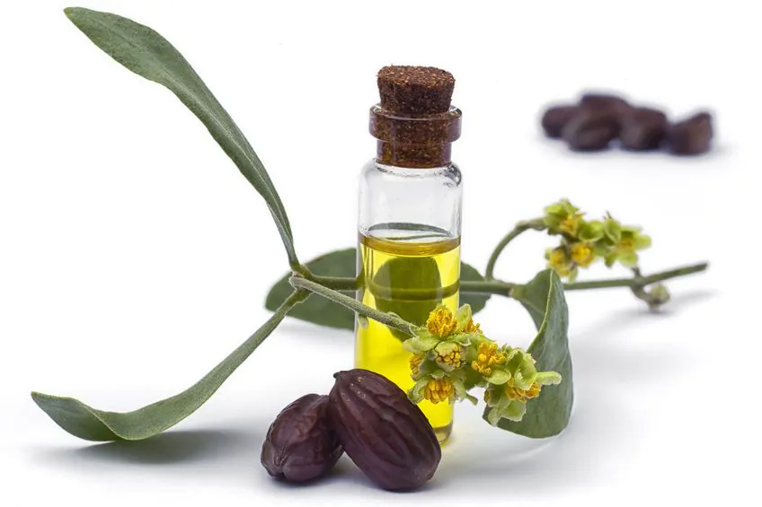 Golden Jojoba Oil
