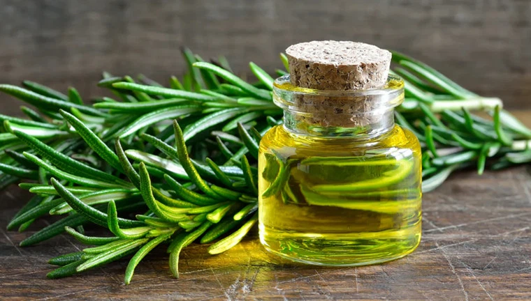 Rosemary Essential Oil