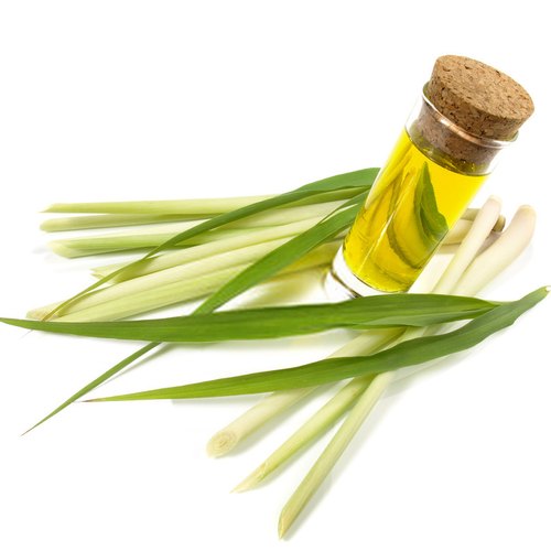 Lemongrass Essential Oil