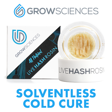 GrowSciences Live Hash Rosin