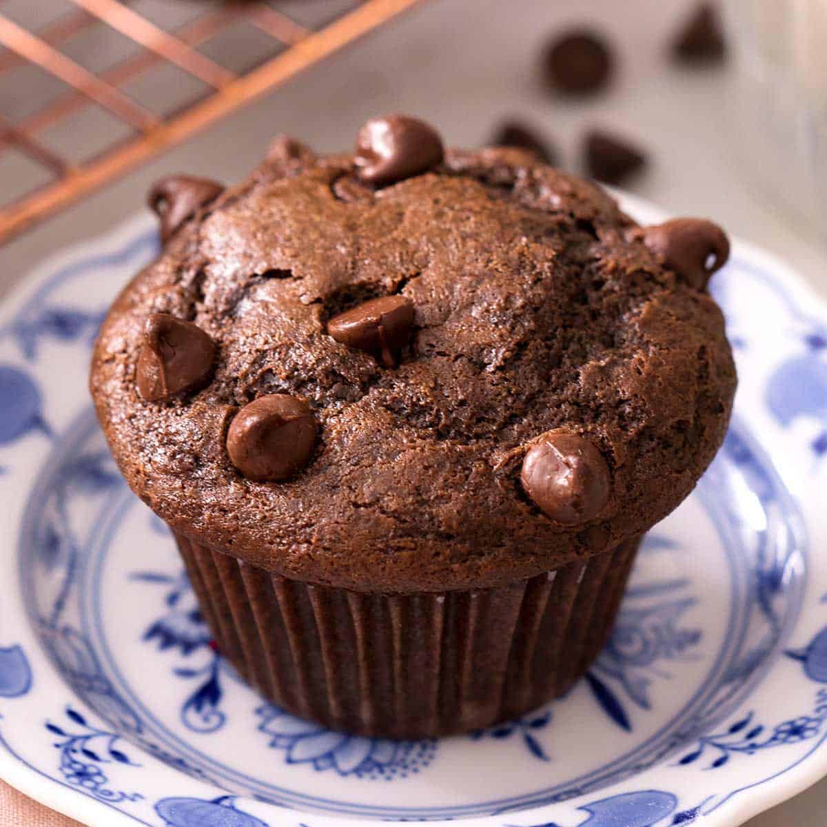 Chocolate Chip Muffin