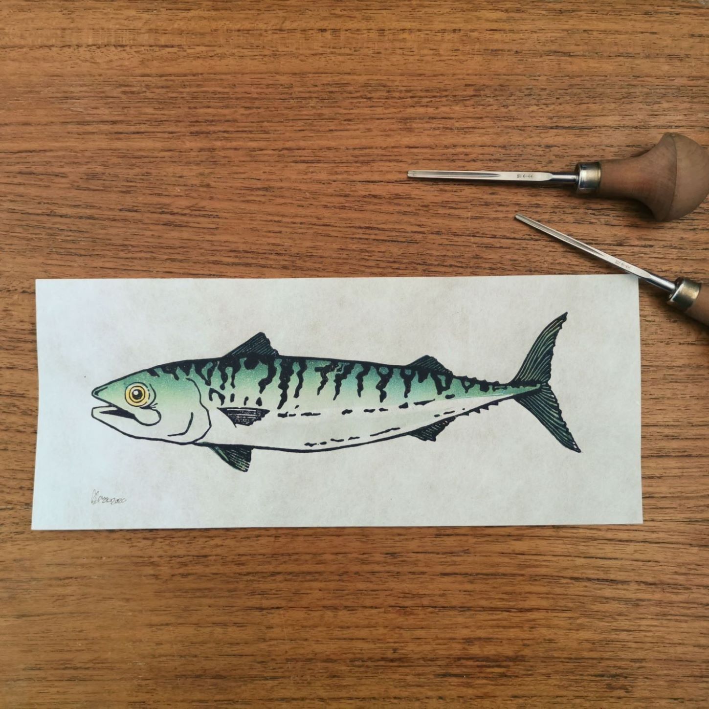 Makreel, vierkleurendruk