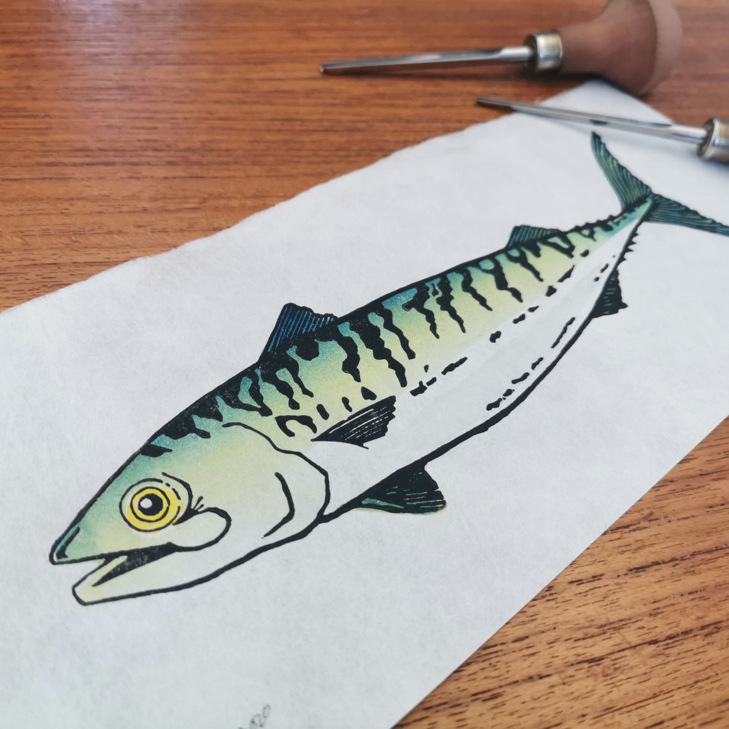 Makreel, vierkleurendruk