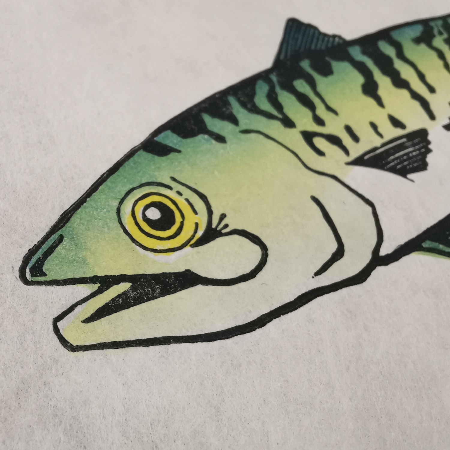 Makreel, vierkleurendruk