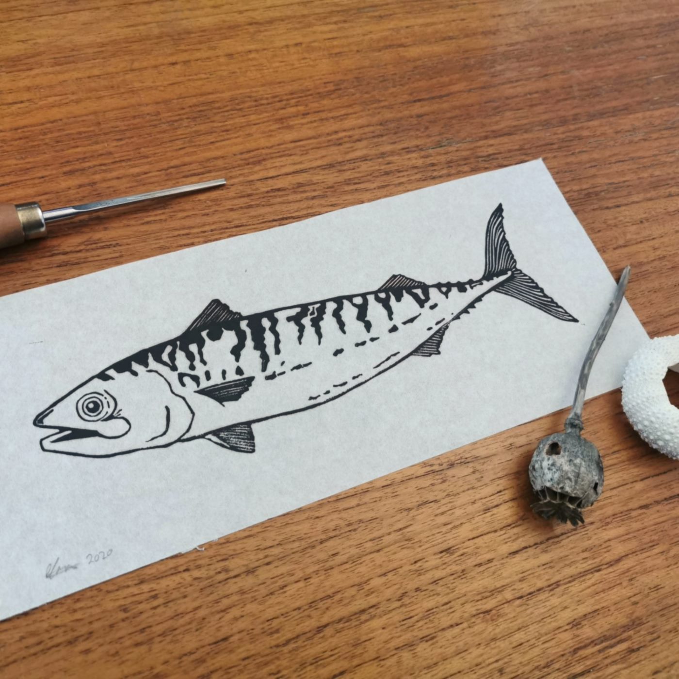 Makreel in zwart/wit