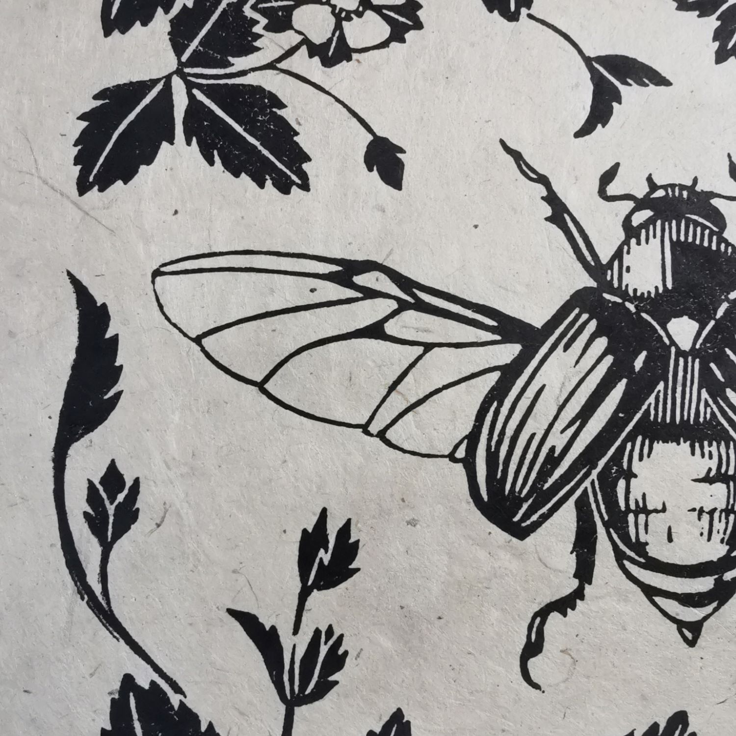 Mestkever met Aardbeitjes