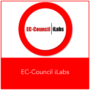 Certified Ethical Hacker (CEHv13) I-Lab
