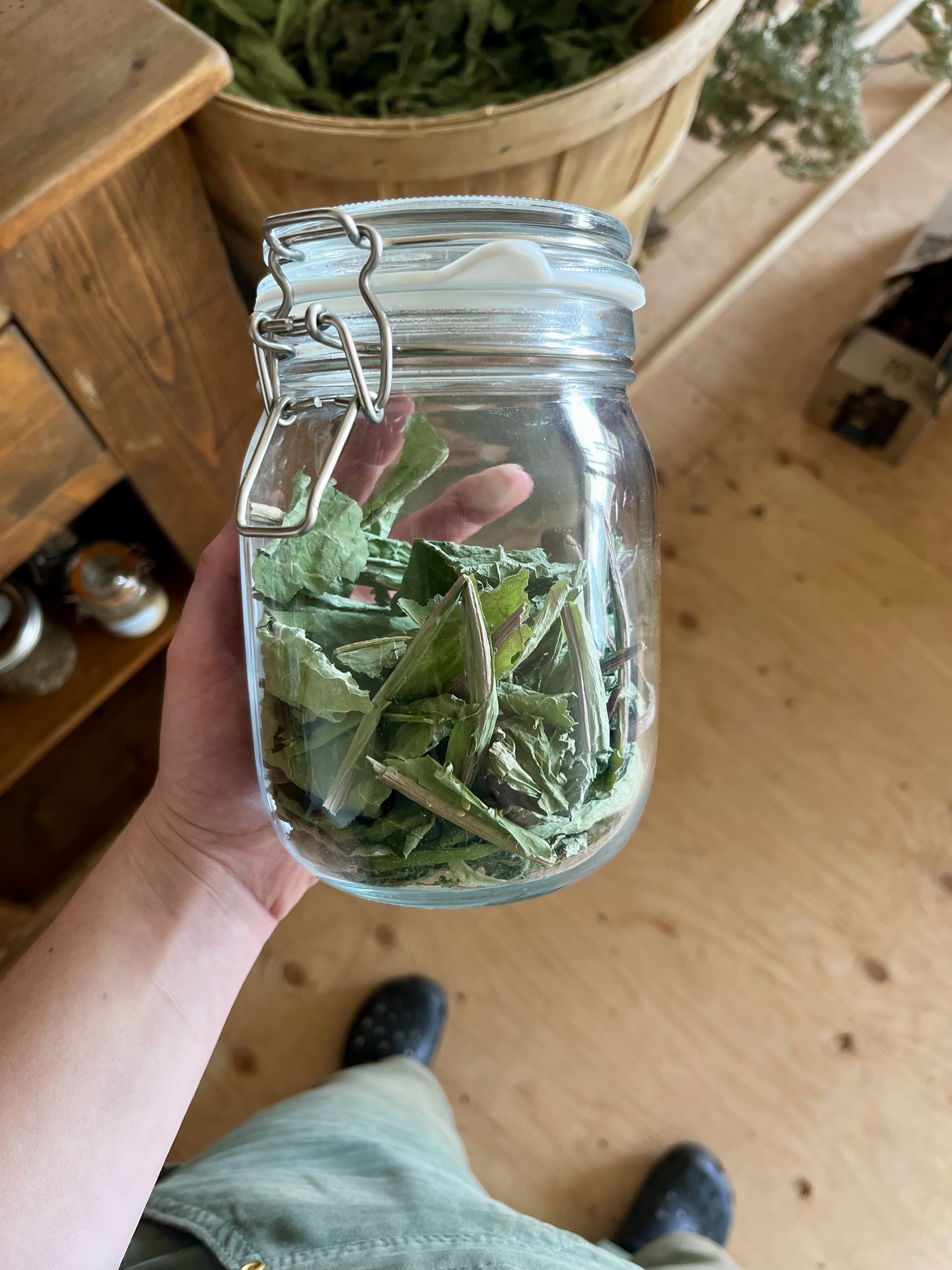Dandelion Leaf Extract