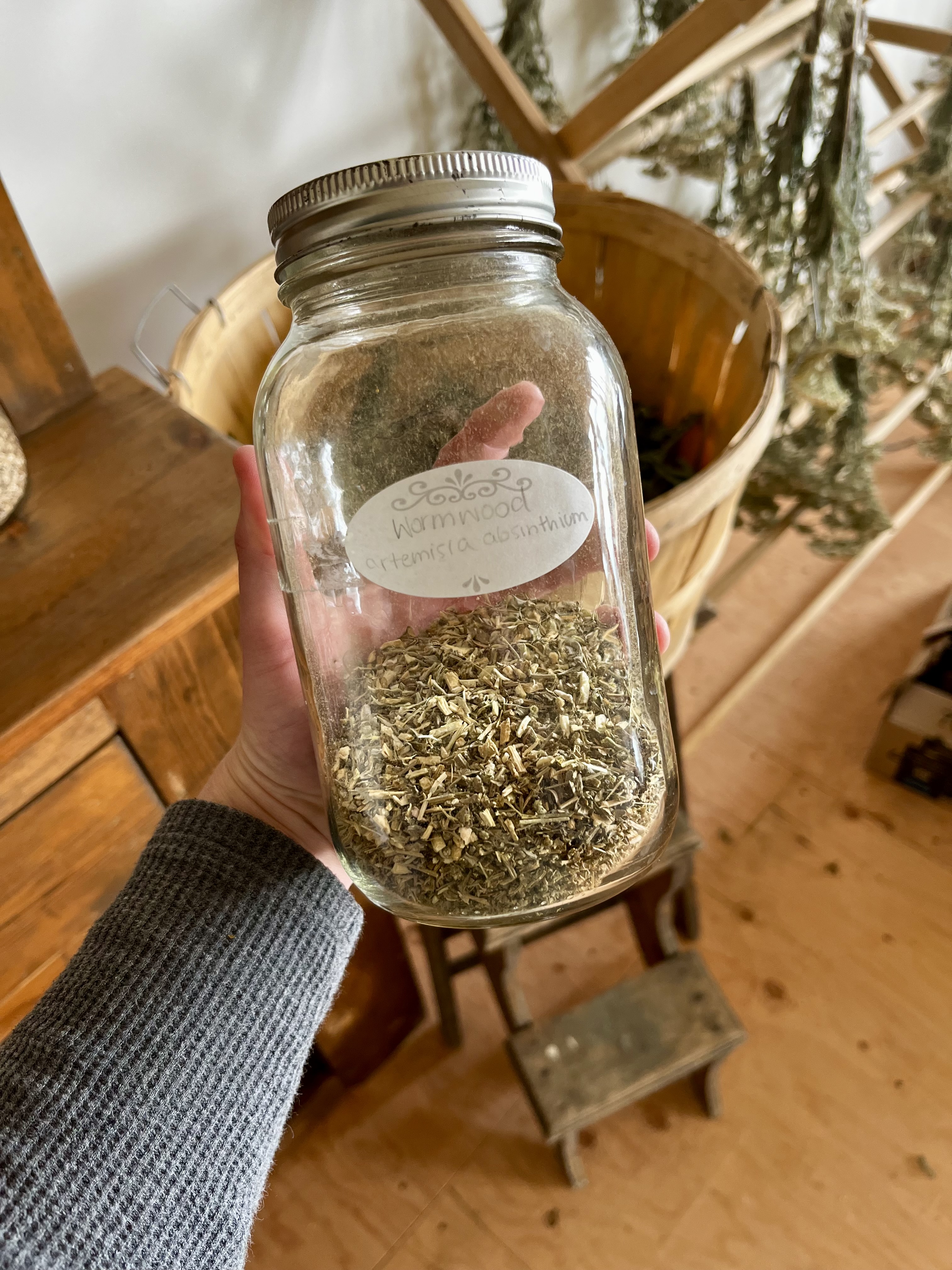 Wormwood Extract