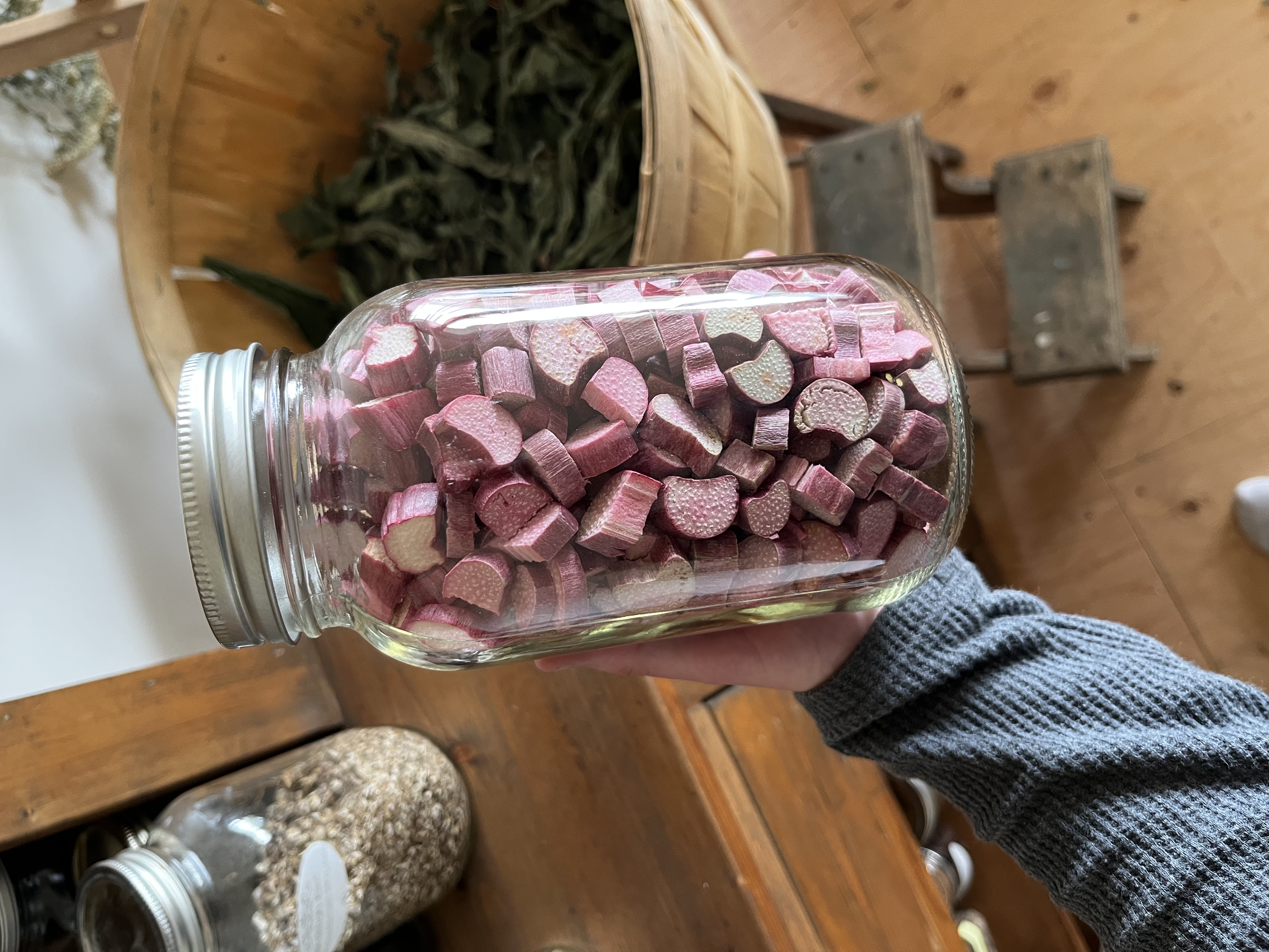 Rhubarb Extract