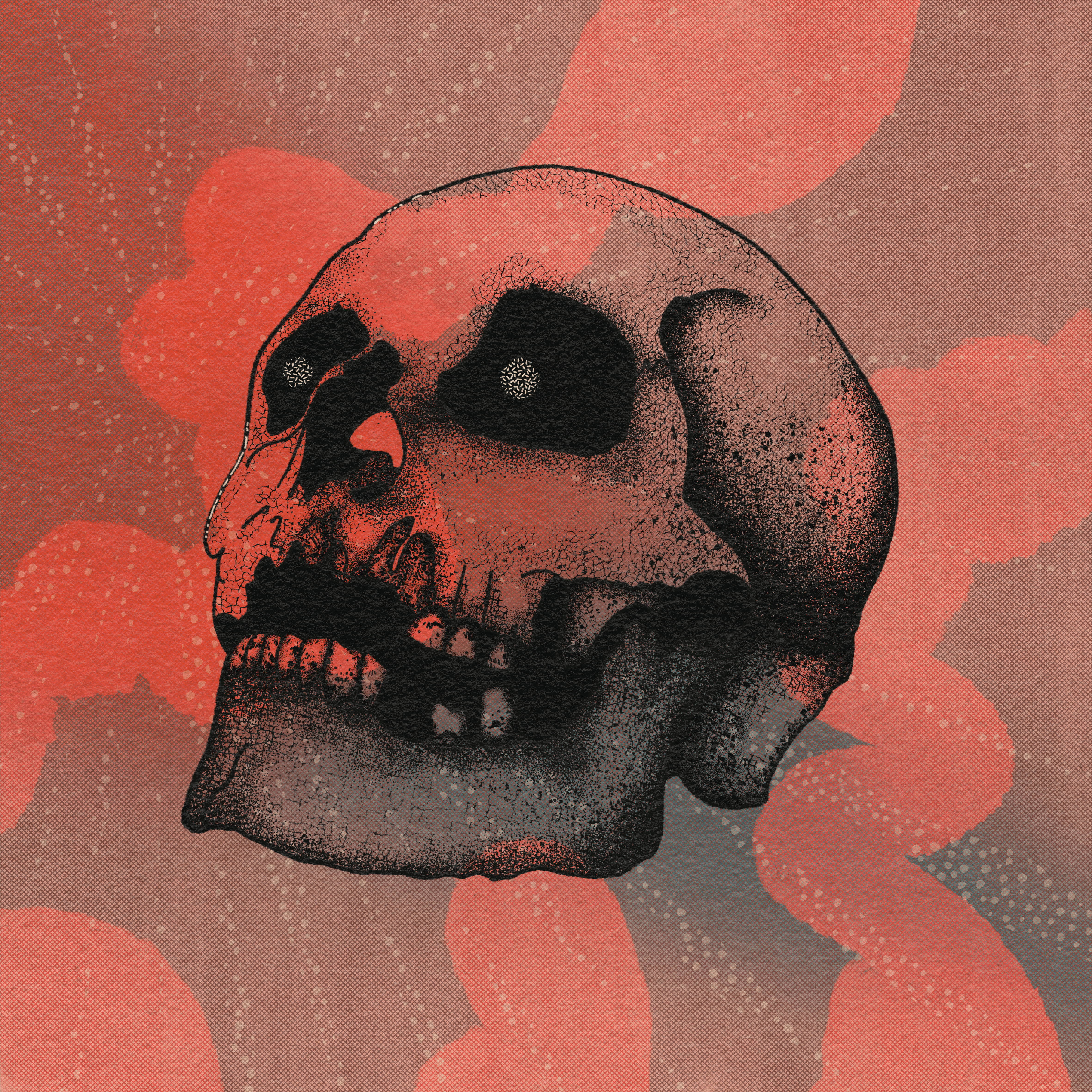 Skull on Pink Background