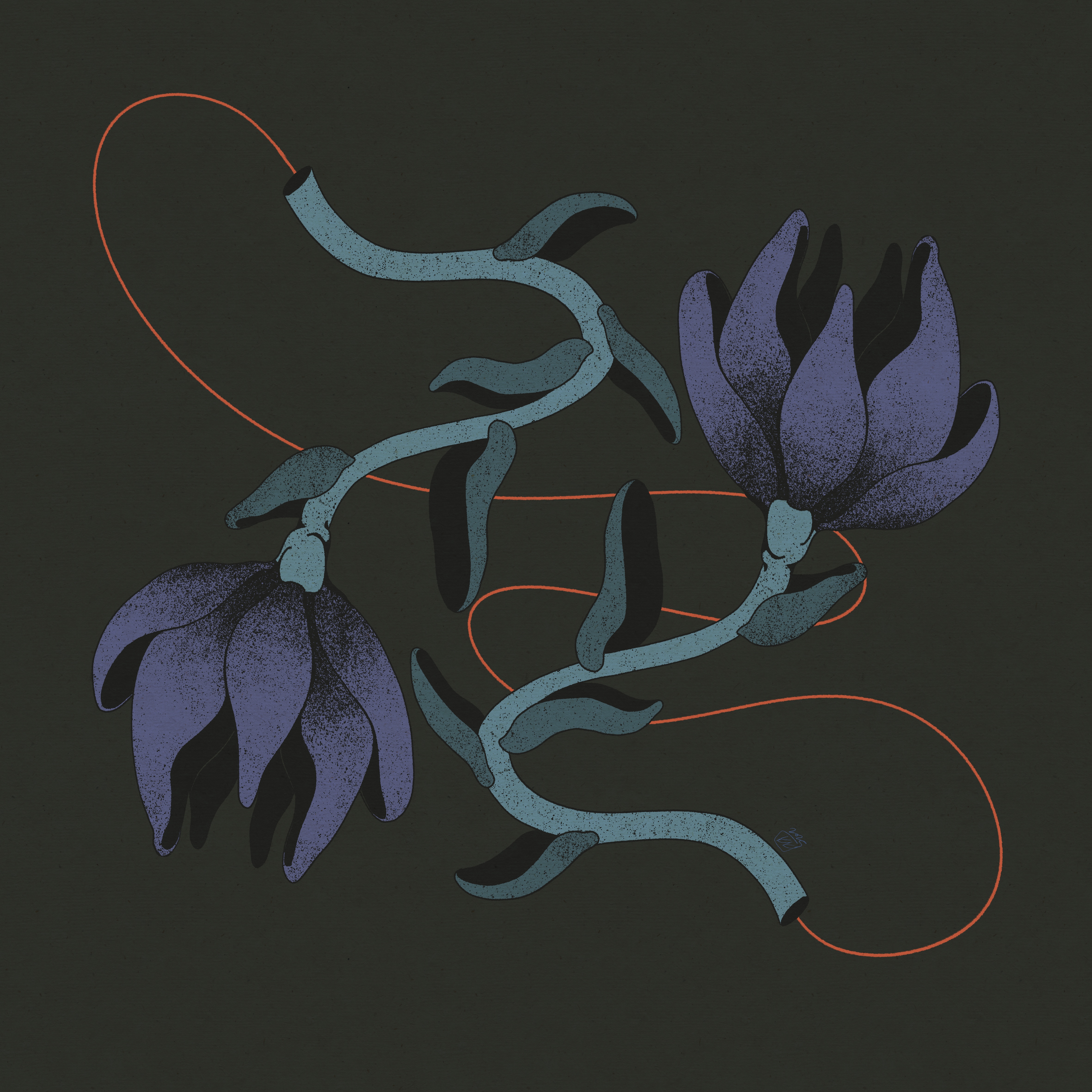 Florals on Dark Background