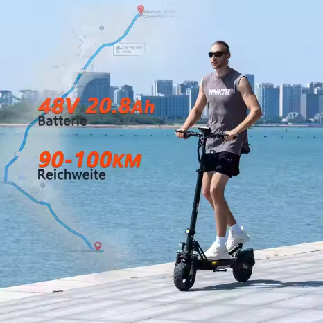 RCB D5 Pro with ABE Authorization 27AH Fast Delivery 500w 10inch 48V E-scooter