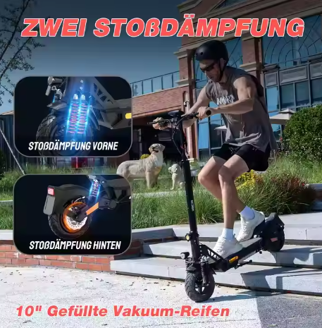 RCB D5 Pro with ABE Authorization 27AH Fast Delivery 500w 10inch 48V E-scooter
