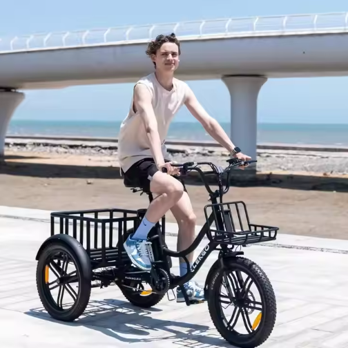 ELEKGo EGO03 Electric Cargo Bike Powerful 500W 48V 18Ah 20*3.0 Tire Large-capacity Transferable Goods