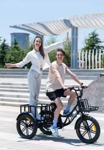 ELEKGo EGO03 Electric Cargo Bike Powerful 500W 48V 18Ah 20*3.0 Tire Large-capacity Transferable Goods