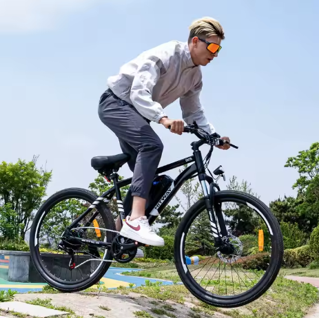 HITWAY BK15 350W 36V 12AH 26*2.125 Tire Long Distance Commute Ebike for Adult