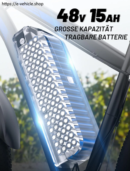 DUOTTS C29 750W 48V 15AH Battery (1pcs) Electric Bicycle Free Delivery 4-7 days homedoor