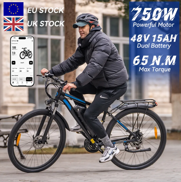 DUOTTS C29 750W 48V 15AH+15AH Battery (2pcs) Electric Bicycle Free Delivery 4-7 days homedoor