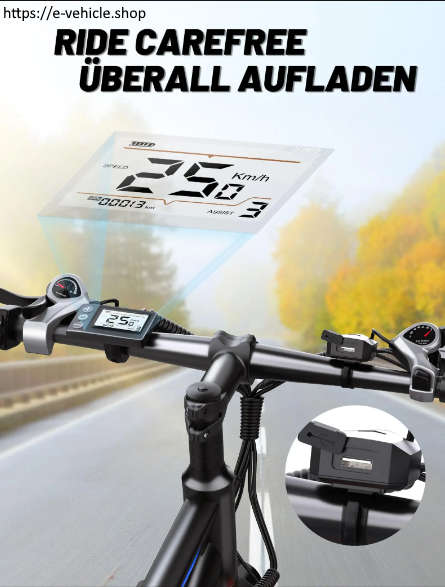 DUOTTS C29 750W 48V 15AH+15AH Battery (2pcs) Electric Bicycle Free Delivery 4-7 days homedoor