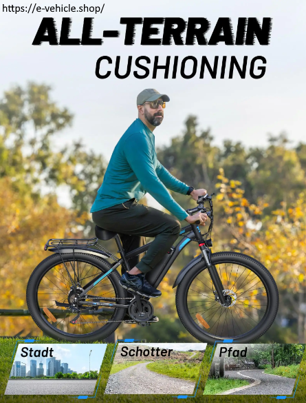 DUOTTS C29 750W 48V 15AH+15AH Battery (2pcs) Electric Bicycle Free Delivery 4-7 days homedoor