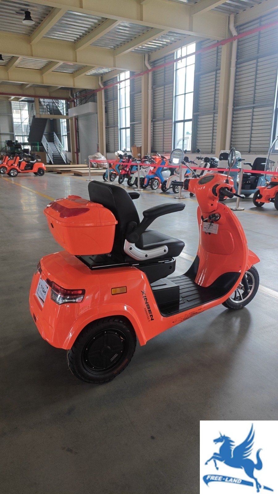 FREELAND FLTEV TSM-05 E-Tricycle 800W / 1600W 60V 32 Ah battery 10" Wheels