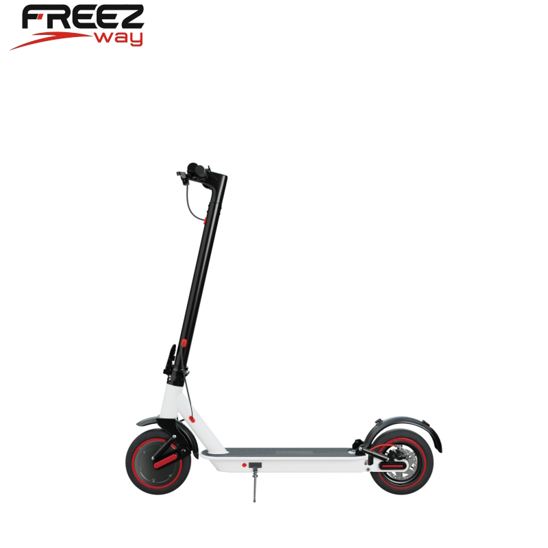 FREEZWAY E-Scooter S3 pro 350W 36V 10 Ah battery 10" inch tire Front/Rear Suspension
