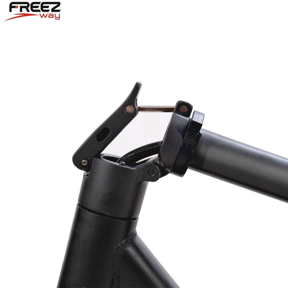 FREEZWAY E-Scooter MAX 350W 36V 15 Ah battery 10" inch tire 