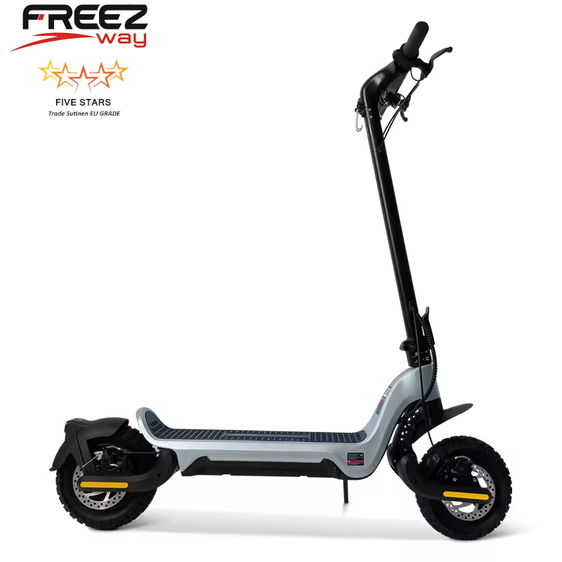 FREEZWAY E-Scooter S9 PLUS 800W Single motor / 1200W Dual motor 48V 15 Ah / 18 Ah battery 10" inch off road tire 