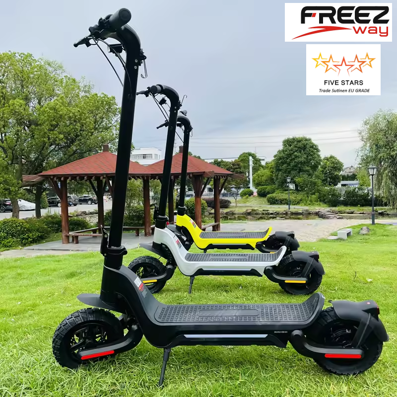FREEZWAY E-Scooter S9 PLUS 800W Single motor / 1200W Dual motor 48V 15 Ah / 18 Ah battery 10" inch off road tire 