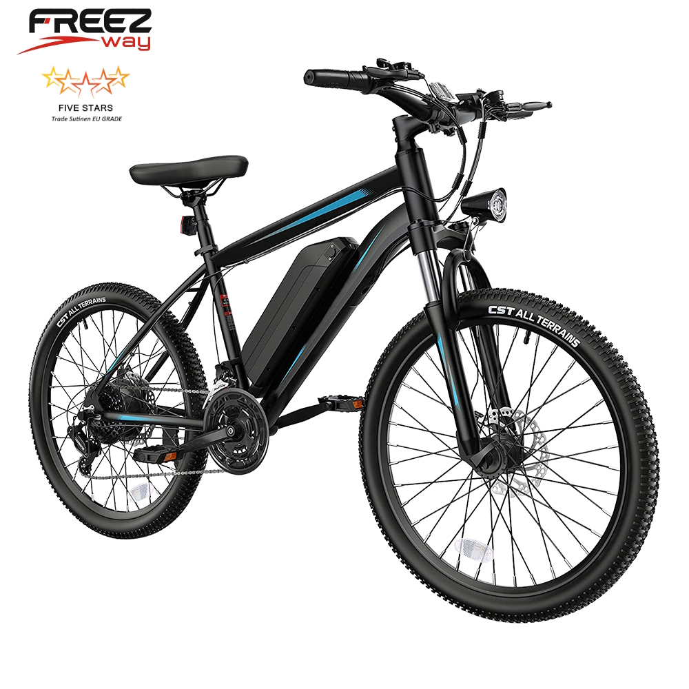 Freezway K3  E-Bike 350W 36 V 10.4 Ah 