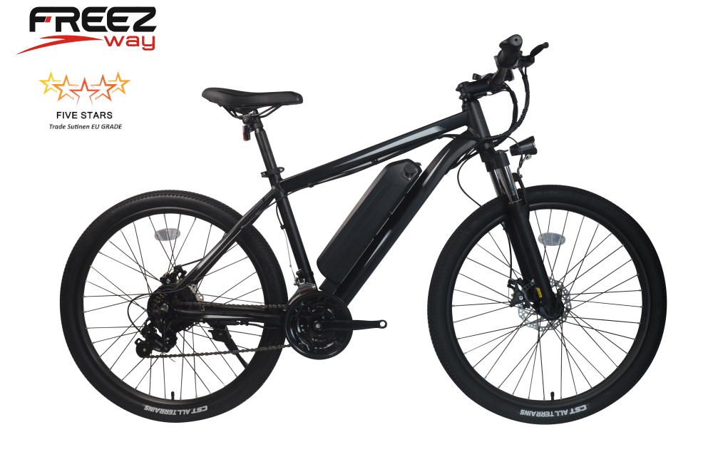 Freezway K3  E-Bike 350W 36 V 10.4 Ah 