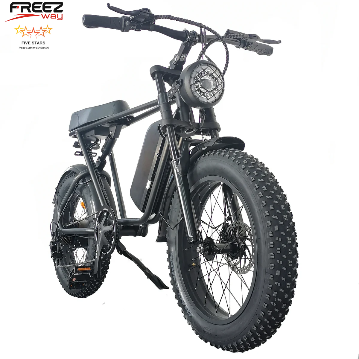 Freezway C91 E-Bike 1000W 48v 20Ah 20" Off Road Tire