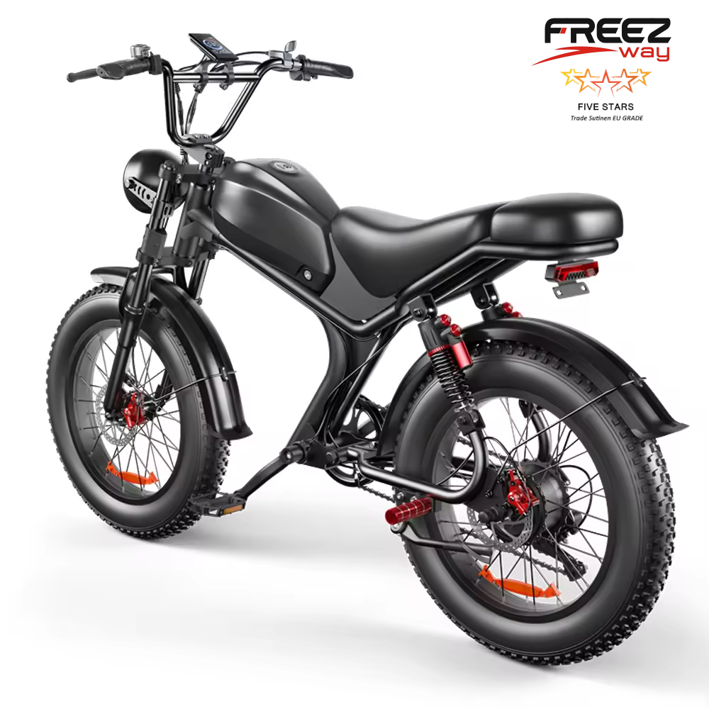 Freezway C93 E-Bike 1000W 48v 20Ah 20" Off Road Tire