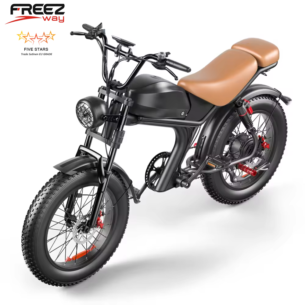 Freezway C93 E-Bike 1000W 48v 20Ah 20" Off Road Tire