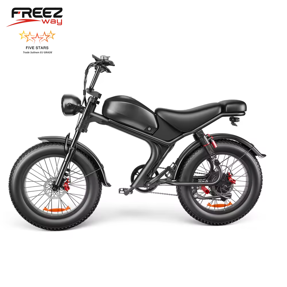 Freezway C93 E-Bike 1000W 48v 20Ah 20" Off Road Tire