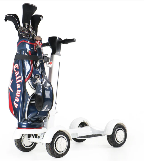 Eswing ES-M12-1 Golf Ball Electric Balance Cart 48V 14Ah LG battery