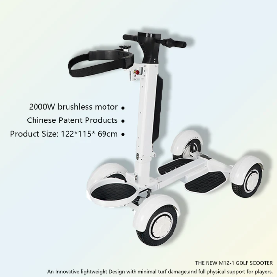 Eswing ES-M12-1 Golf Ball Electric Balance Cart 48V 14Ah LG battery