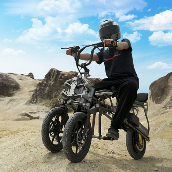 ESWING M18 All-Terrain Stability Suspension Electric Tricycle 500W, 48V 15.6Ah