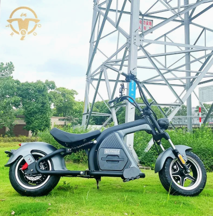 M8 Citycoco Model EEC & Coc 60v 1500w/2000w with 60v 20ah/30ah Li-on battery
