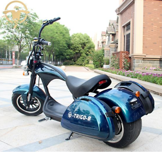M1 Citycoco Model EEC & Coc 60v 1500w / 2000w with 60v 20ah Li-on battery