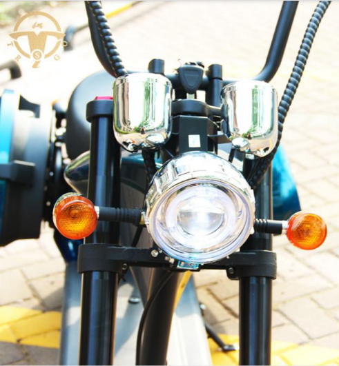 M1 Citycoco Model EEC & Coc 60v 1500w / 2000w with 60v 20ah Li-on battery