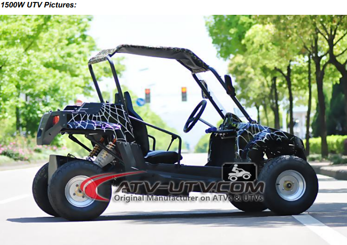 EUT1501 1500W-3000W Shaft drive Electric UTV  72V 52 Ah