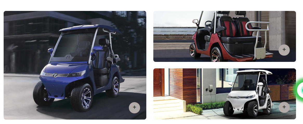 Tara T3 Golf Cart 6.3KW AC Motor with EM brake 48V160AH Lithium Battery