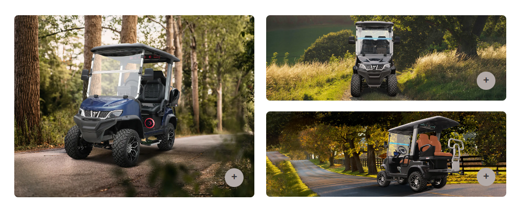 Tara T3 Golf Cart 6.3KW AC Motor with EM brake 48V160AH Lithium Battery