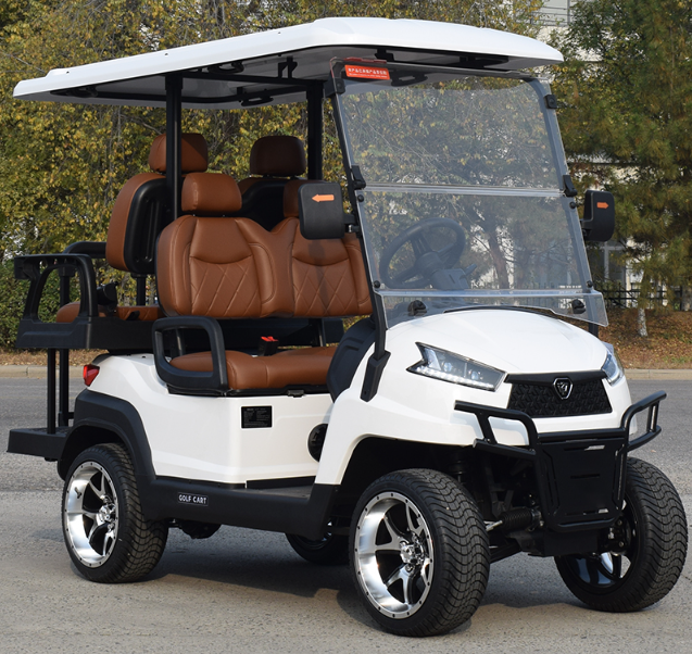 ZYCAR 4 seater utility golf cart R2C 48V 4KW AC system