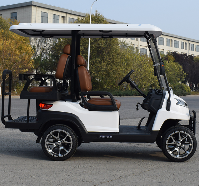 ZYCAR 4 seater utility golf cart R2C 48V 4KW AC system