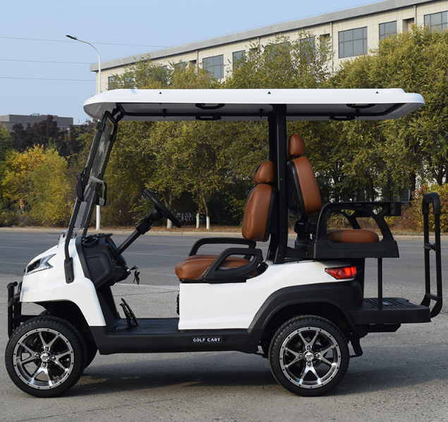 ZYCAR 4 seater utility golf cart R2C 48V 4KW AC system