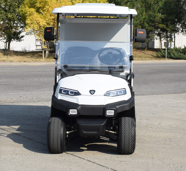 ZYCAR ZH05 0.5 ton electric truck with cargo box 48V/5kw